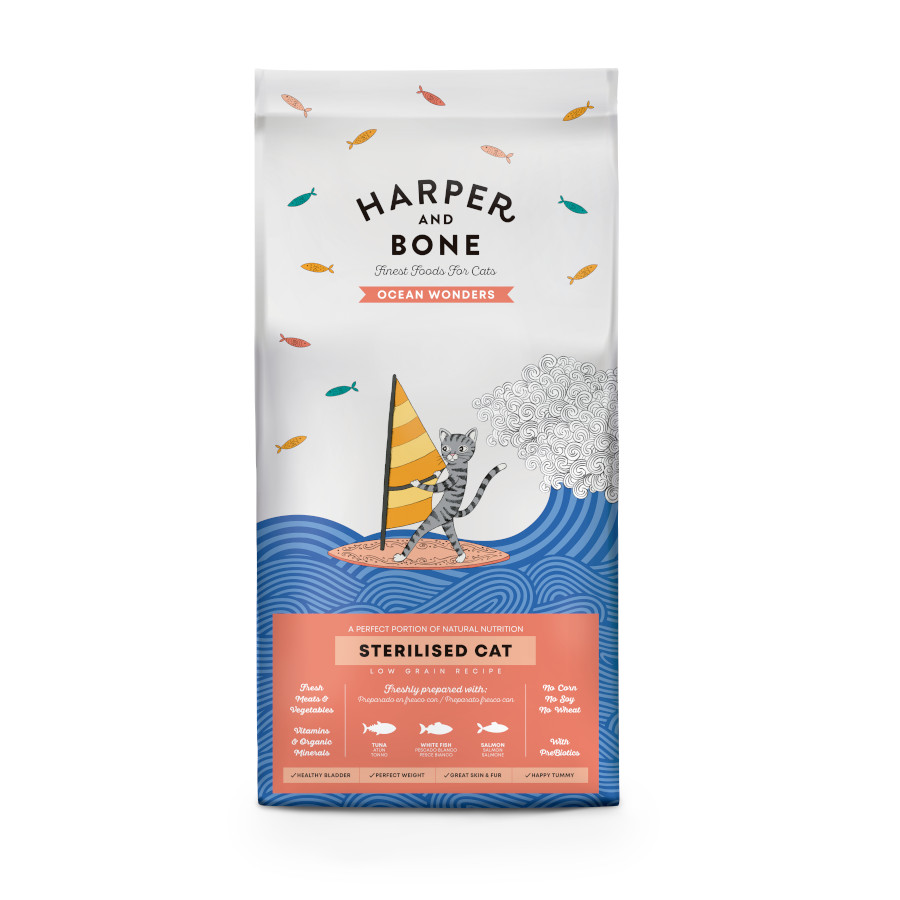 harper-and-bone-gato-ocean-wonder